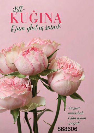 Picture of LILL-KUGINA FJUM GHELUQ SNINEK
